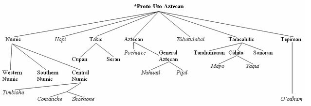 File:Uto-Aztecan Family Tree.jpg