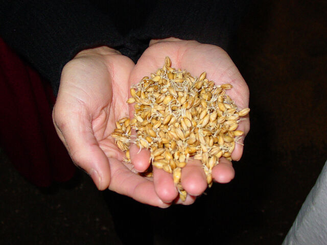 File:Sjb whiskey malt.jpg