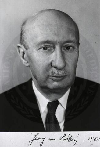 File:GeorgvonBekesy.jpg
