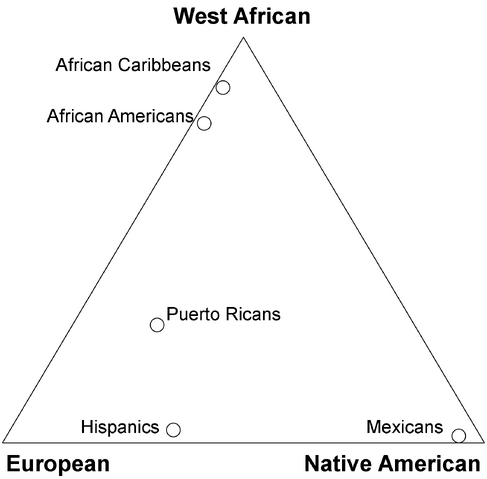 File:Admixture triangle plot.png
