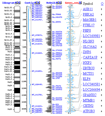 File:Genome viewer screenshot small.png