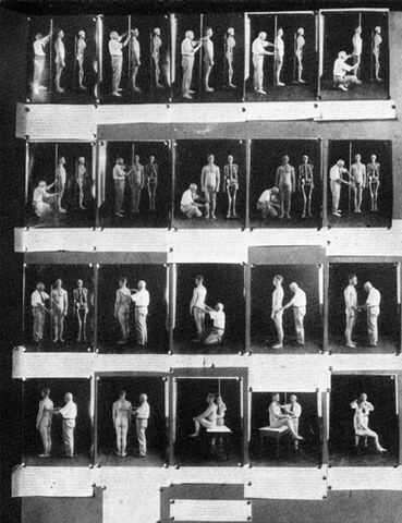 File:Anthropometry exhibit.jpg