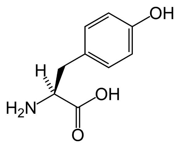 File:L-tyrosine-skeletal.png
