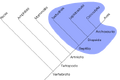 Thumbnail for version as of 13:38, February 17, 2007