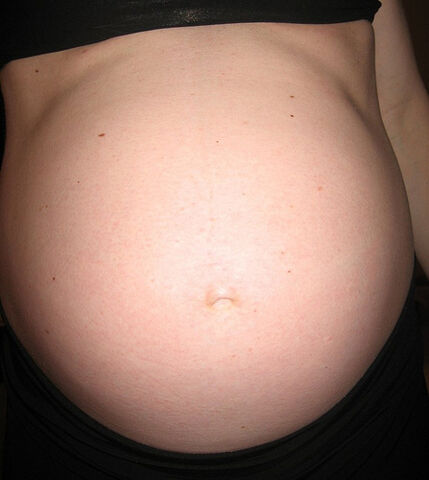 File:D1cec pregnant 3440279436 0075e33c46-1-.jpg