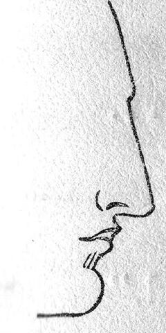 File:Class II nose.jpg