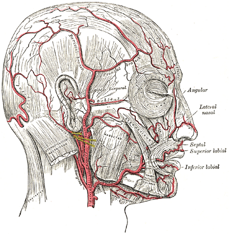 File:Gray508.png