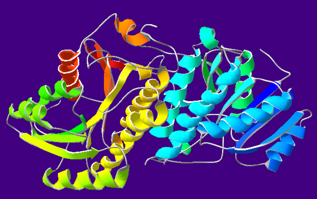 File:AlcoholDehydrogenase-1A4U.png