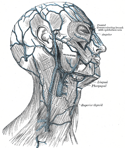 File:Gray557.png