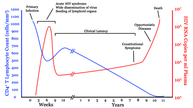 File:Hiv-timecourse.png