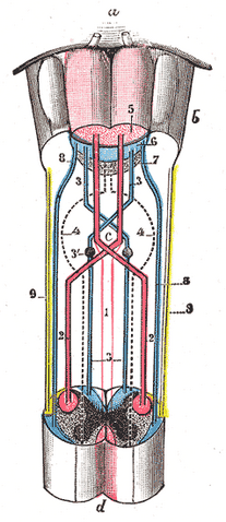 File:Gray680.png