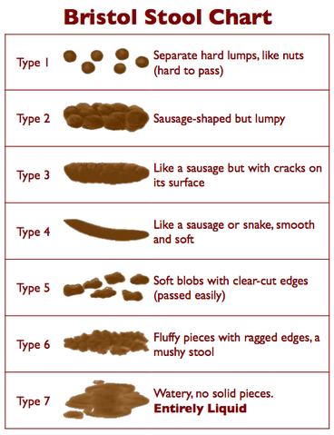 File:Bristol Stool Chart.png