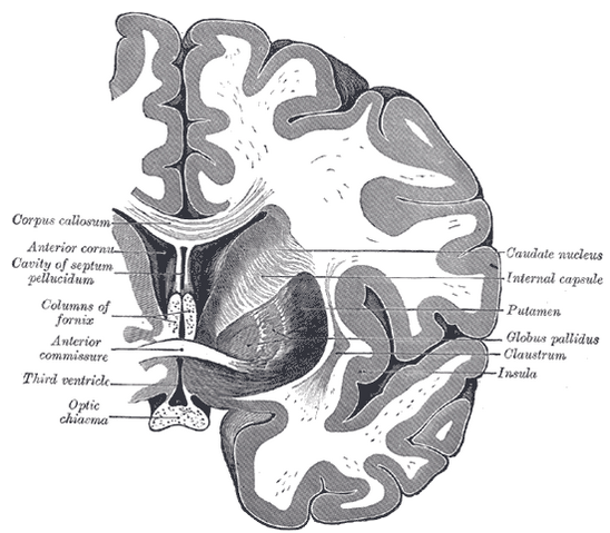 File:Gray744.png