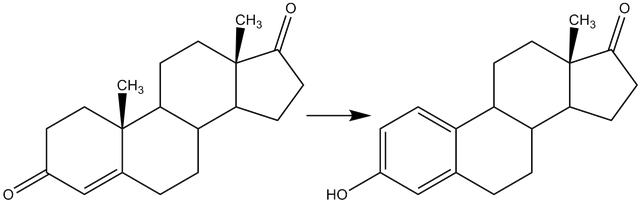File:Reaction-Androstendione-Estrone.png