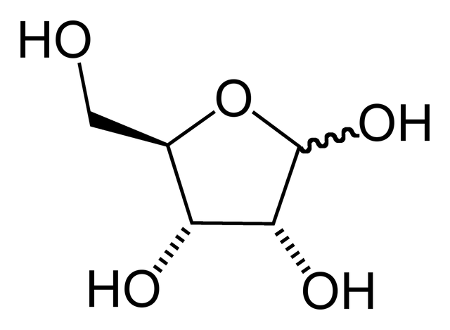 File:Ribofuranose-2D-skeletal.png