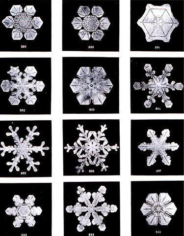 File:SnowflakesWilsonBentley.jpg