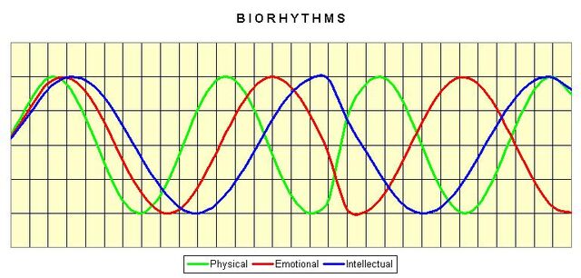 File:Biorhythms.jpg