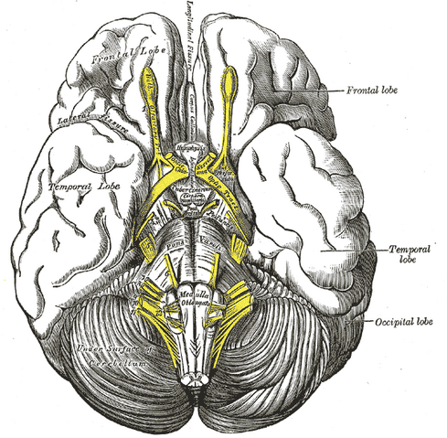 File:Gray724.png
