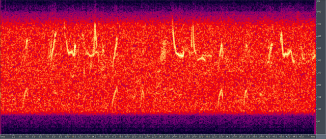 File:Humpback song spectrogram.png