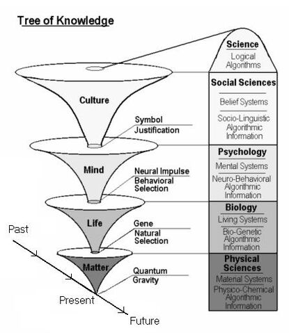 File:ToK.jpg