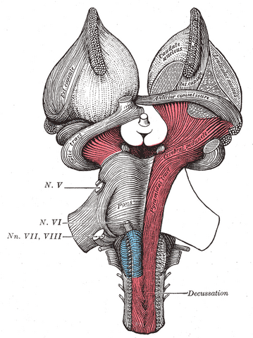 File:Gray689.png