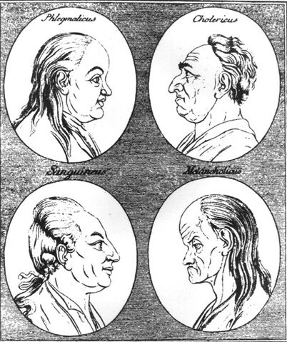 File:Lavater1.jpg