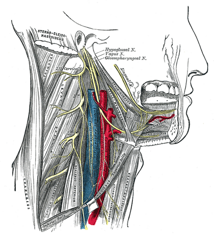 File:Gray794.png