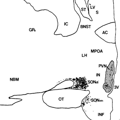 File:PVNss.jpg