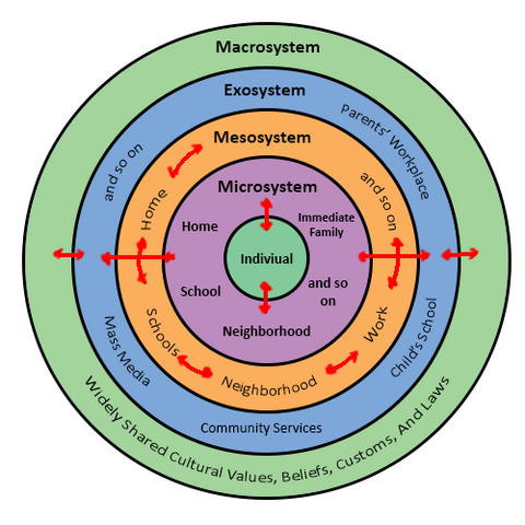 File:Urie Bronfenbrenners Bioecological Model.png