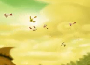 Birds