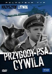 Pies cywil
