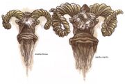 800px-Bantha Bull and Cow.jpg.jpg