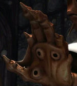 Mão Mon Calamari.jpg
