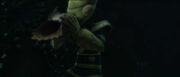 Lee-Char blowing.jpg