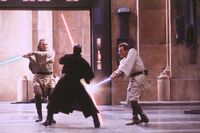 TPM fight small.jpg
