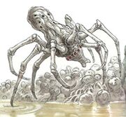 230px-KnobbyWhiteSpider-wswfg.jpg