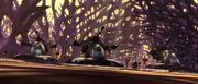 Separatists on Rugosa
