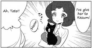 Satomi-Usagi