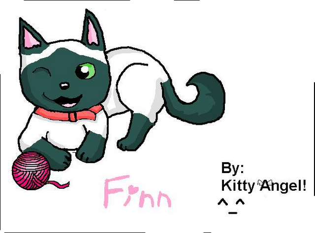 File:Finn by Kitty Angel.png