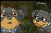Giga and Zull