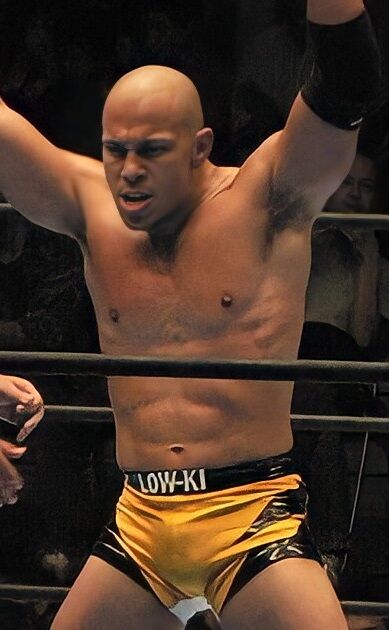 File:Low Ki.jpg