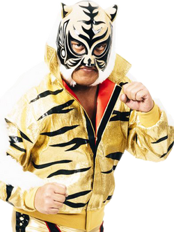 TigerMask