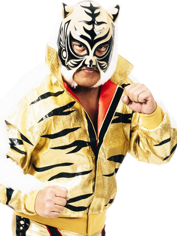 File:TigerMask.png