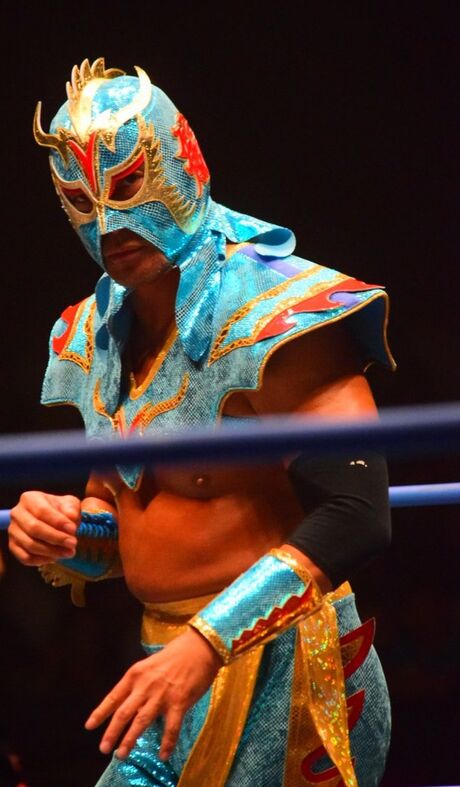 File:Ultimo Dragon.jpg