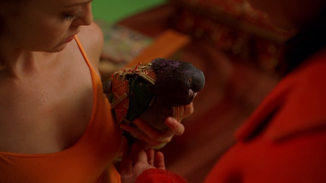 File:Pigeon 410.png