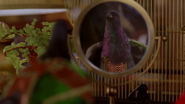 File:Pigeon 332.png