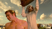Wikia Daisies - Chuck's bees