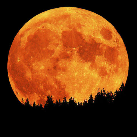 File:Full moon.jpg