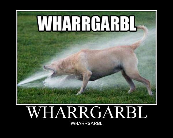 File:User Intemet Internet whaargarbl.jpg