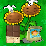 Blinking Twin Cooking Sunflower